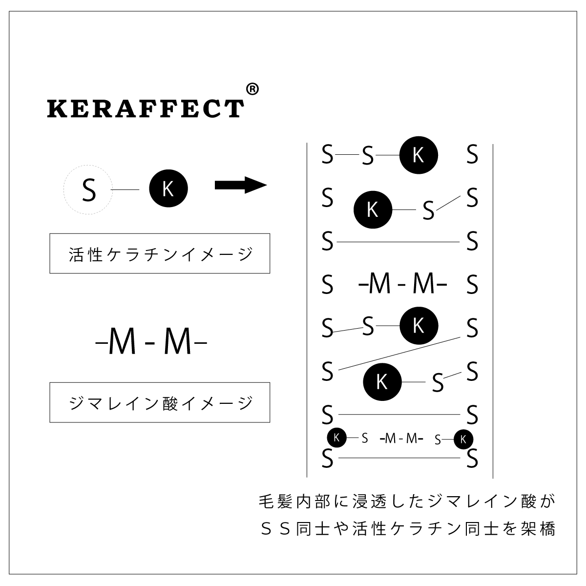 KERAFFECTコネクターとアシッドリンクについて - TRIGOODS-QA